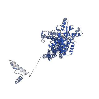 4592_6qm9_B_v1-2
Cryo-EM structure of calcium-bound nhTMEM16 lipid scramblase in nanodisc (open state)