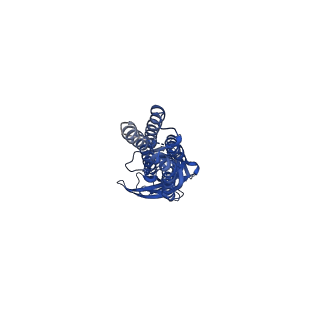 14067_7qn5_A_v1-2
Cryo-EM structure of human full-length extrasynaptic alpha4beta3delta GABA(A)R in complex with nanobody Nb25