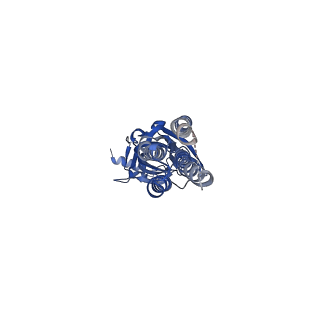 14067_7qn5_C_v1-2
Cryo-EM structure of human full-length extrasynaptic alpha4beta3delta GABA(A)R in complex with nanobody Nb25