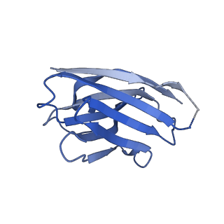 14067_7qn5_F_v1-2
Cryo-EM structure of human full-length extrasynaptic alpha4beta3delta GABA(A)R in complex with nanobody Nb25