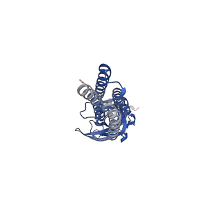 14068_7qn6_A_v1-1
Cryo-EM structure of human full-length beta3delta GABA(A)R in complex with nanobody Nb25