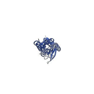 14068_7qn6_B_v1-1
Cryo-EM structure of human full-length beta3delta GABA(A)R in complex with nanobody Nb25