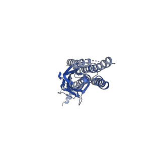 14068_7qn6_D_v1-1
Cryo-EM structure of human full-length beta3delta GABA(A)R in complex with nanobody Nb25