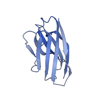 14068_7qn6_K_v1-1
Cryo-EM structure of human full-length beta3delta GABA(A)R in complex with nanobody Nb25