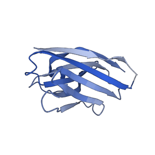 14068_7qn6_L_v1-1
Cryo-EM structure of human full-length beta3delta GABA(A)R in complex with nanobody Nb25