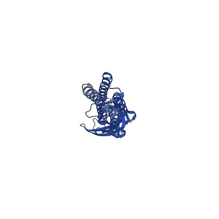 14069_7qn7_A_v1-1
Cryo-EM structure of human full-length extrasynaptic alpha4beta3delta GABA(A)R in complex with GABA, histamine and nanobody Nb25