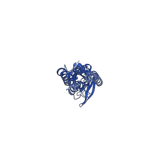 14069_7qn7_B_v1-1
Cryo-EM structure of human full-length extrasynaptic alpha4beta3delta GABA(A)R in complex with GABA, histamine and nanobody Nb25