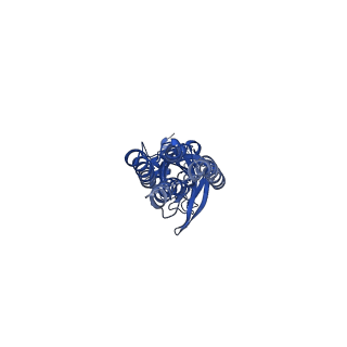 14069_7qn7_B_v2-0
Cryo-EM structure of human full-length extrasynaptic alpha4beta3delta GABA(A)R in complex with GABA, histamine and nanobody Nb25