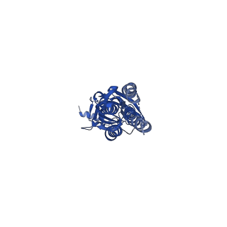 14069_7qn7_C_v2-0
Cryo-EM structure of human full-length extrasynaptic alpha4beta3delta GABA(A)R in complex with GABA, histamine and nanobody Nb25
