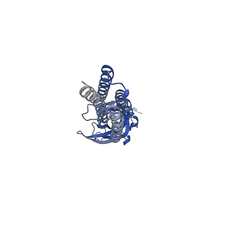 14070_7qn8_A_v1-1
Cryo-EM structure of human full-length beta3delta GABA(A)R in complex with histamine and nanobody Nb25
