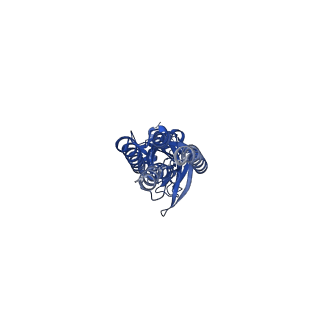 14070_7qn8_B_v1-1
Cryo-EM structure of human full-length beta3delta GABA(A)R in complex with histamine and nanobody Nb25
