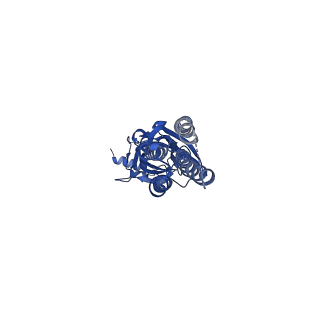 14070_7qn8_C_v1-1
Cryo-EM structure of human full-length beta3delta GABA(A)R in complex with histamine and nanobody Nb25