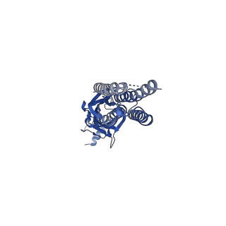 14070_7qn8_D_v1-1
Cryo-EM structure of human full-length beta3delta GABA(A)R in complex with histamine and nanobody Nb25