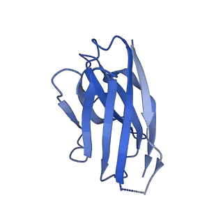 14070_7qn8_K_v1-1
Cryo-EM structure of human full-length beta3delta GABA(A)R in complex with histamine and nanobody Nb25
