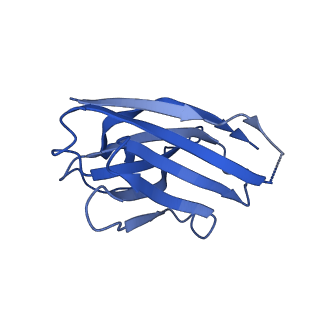 14070_7qn8_L_v1-1
Cryo-EM structure of human full-length beta3delta GABA(A)R in complex with histamine and nanobody Nb25