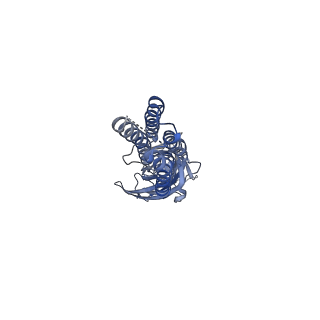 14071_7qn9_A_v1-1
Cryo-EM structure of human full-length extrasynaptic alpha4beta3delta GABA(A)R in complex with GABA, histamine and nanobody Nb25 in a pre-open/closed state