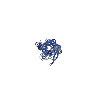 14071_7qn9_B_v1-1
Cryo-EM structure of human full-length extrasynaptic alpha4beta3delta GABA(A)R in complex with GABA, histamine and nanobody Nb25 in a pre-open/closed state