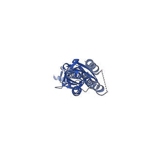 14071_7qn9_C_v1-1
Cryo-EM structure of human full-length extrasynaptic alpha4beta3delta GABA(A)R in complex with GABA, histamine and nanobody Nb25 in a pre-open/closed state