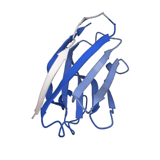 14071_7qn9_M_v1-1
Cryo-EM structure of human full-length extrasynaptic alpha4beta3delta GABA(A)R in complex with GABA, histamine and nanobody Nb25 in a pre-open/closed state