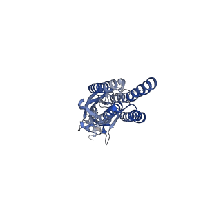 14072_7qna_A_v2-0
Cryo-EM structure of human full-length alpha4beta3gamma2 GABA(A)R in complex with GABA and nanobody Nb25