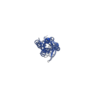 14072_7qna_D_v1-1
Cryo-EM structure of human full-length alpha4beta3gamma2 GABA(A)R in complex with GABA and nanobody Nb25