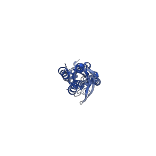 14072_7qna_D_v2-0
Cryo-EM structure of human full-length alpha4beta3gamma2 GABA(A)R in complex with GABA and nanobody Nb25