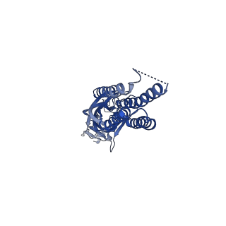 14073_7qnb_A_v1-1
Cryo-EM structure of human full-length beta3gamma2 GABA(A)R in complex with GABA and nanobody Nb25