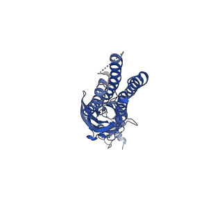 14073_7qnb_B_v1-1
Cryo-EM structure of human full-length beta3gamma2 GABA(A)R in complex with GABA and nanobody Nb25