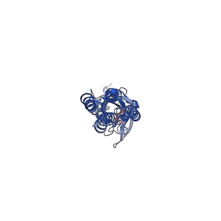 14073_7qnb_D_v1-1
Cryo-EM structure of human full-length beta3gamma2 GABA(A)R in complex with GABA and nanobody Nb25