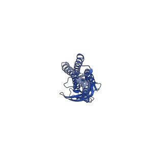 14074_7qnc_A_v1-1
Cryo-EM structure of human full-length extrasynaptic alpha4beta3delta GABA(A)R in complex with THIP (gaboxadol), histamine and nanobody Nb25