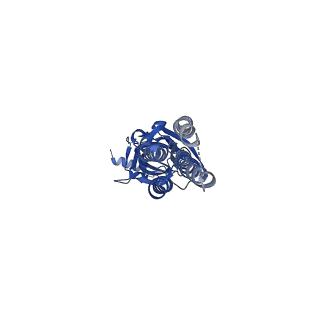 14074_7qnc_C_v1-1
Cryo-EM structure of human full-length extrasynaptic alpha4beta3delta GABA(A)R in complex with THIP (gaboxadol), histamine and nanobody Nb25