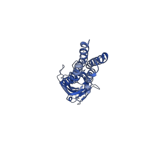 14074_7qnc_E_v1-1
Cryo-EM structure of human full-length extrasynaptic alpha4beta3delta GABA(A)R in complex with THIP (gaboxadol), histamine and nanobody Nb25