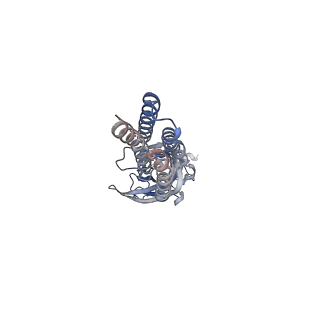 14075_7qnd_A_v1-1
Cryo-EM structure of human full-length extrasynaptic beta3delta GABA(A)R in complex with THIP (gaboxadol), histamine and nanobody Nb25