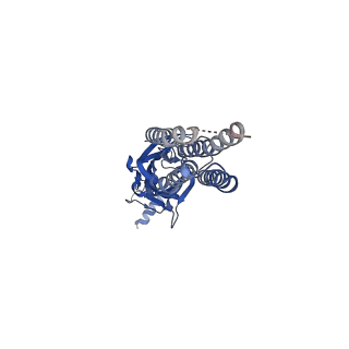 14075_7qnd_D_v1-1
Cryo-EM structure of human full-length extrasynaptic beta3delta GABA(A)R in complex with THIP (gaboxadol), histamine and nanobody Nb25