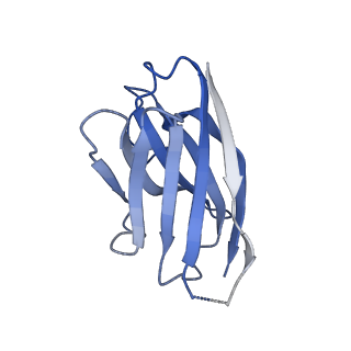 14075_7qnd_K_v1-1
Cryo-EM structure of human full-length extrasynaptic beta3delta GABA(A)R in complex with THIP (gaboxadol), histamine and nanobody Nb25