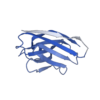 14075_7qnd_L_v1-1
Cryo-EM structure of human full-length extrasynaptic beta3delta GABA(A)R in complex with THIP (gaboxadol), histamine and nanobody Nb25