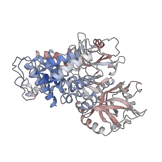 14078_7qnz_A_v1-0
human Lig1-DNA-PCNA complex reconstituted in absence of ATP