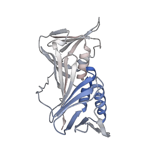 14078_7qnz_B_v1-0
human Lig1-DNA-PCNA complex reconstituted in absence of ATP