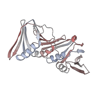 14078_7qnz_C_v1-0
human Lig1-DNA-PCNA complex reconstituted in absence of ATP