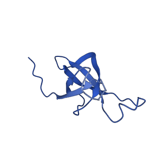 4595_6qn1_AM_v1-2
T=4 quasi-symmetric bacterial microcompartment particle