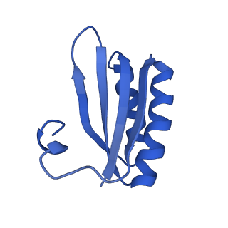 4595_6qn1_BB_v1-2
T=4 quasi-symmetric bacterial microcompartment particle
