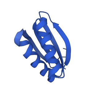 4595_6qn1_BD_v1-2
T=4 quasi-symmetric bacterial microcompartment particle