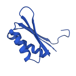 4595_6qn1_CB_v1-2
T=4 quasi-symmetric bacterial microcompartment particle