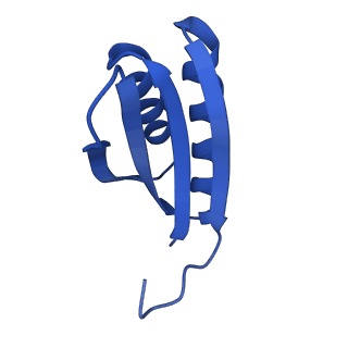 4595_6qn1_DP_v1-2
T=4 quasi-symmetric bacterial microcompartment particle