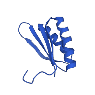 4595_6qn1_DX_v1-2
T=4 quasi-symmetric bacterial microcompartment particle