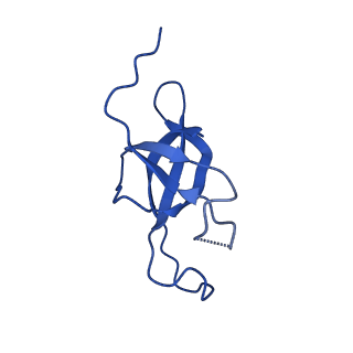 4595_6qn1_EM_v1-2
T=4 quasi-symmetric bacterial microcompartment particle