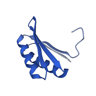 4595_6qn1_ES_v1-2
T=4 quasi-symmetric bacterial microcompartment particle