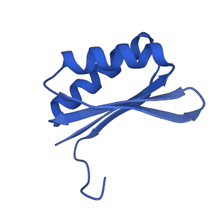 4595_6qn1_FA_v1-2
T=4 quasi-symmetric bacterial microcompartment particle