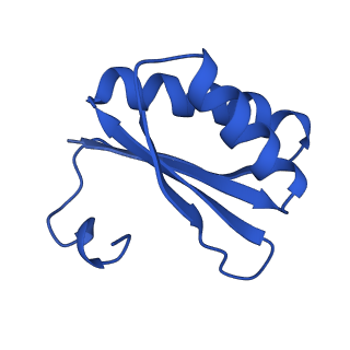 4595_6qn1_FJ_v1-2
T=4 quasi-symmetric bacterial microcompartment particle