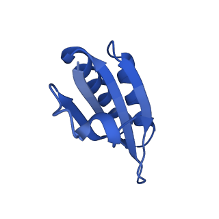 4595_6qn1_FR_v1-2
T=4 quasi-symmetric bacterial microcompartment particle
